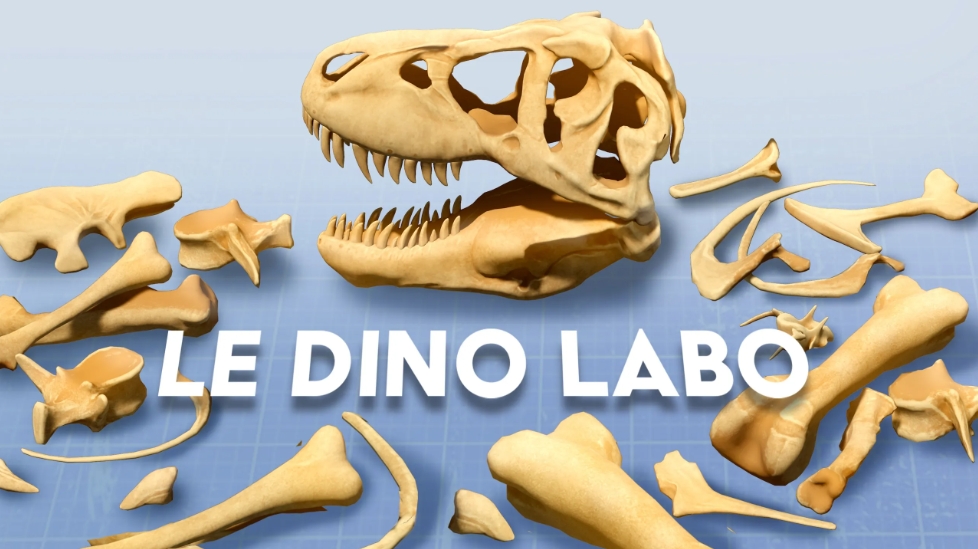 专为Quest打造的MR游戏Le Dino Labo，拼恐龙化石模型啦