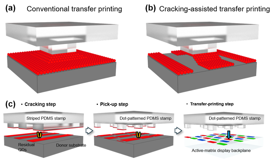 剑桥团队突破量子点显示技术瓶颈,推动AR、VR设备视觉体验升级